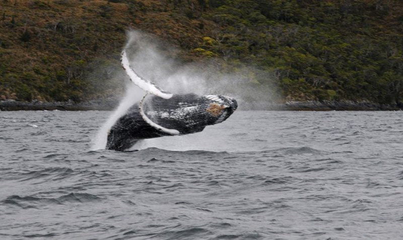 Photo: feel patagonia